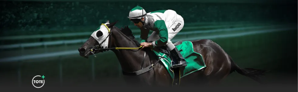 bet365台灣－365最高Tote+